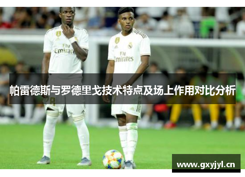 帕雷德斯与罗德里戈技术特点及场上作用对比分析
